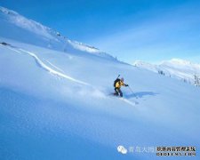 家长和孩子的旅程，请在青岛选择Q的原因