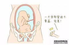 影响胎儿体型的因素有哪些？