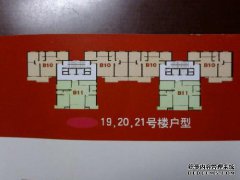旧的iPhone用新的“现场”照亮了3889元以下，以加