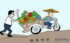 注重准确性，持续努力并确保按计划实现减贫目