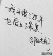 许多汽车管理模式也会说话，这些话都处于危险