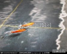 贵州省：池塘里有“无法捕获的巨大鱼”。这与