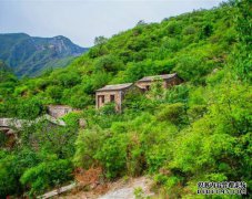 这个桃园，宜居县的山上的山是美丽的像一幅画