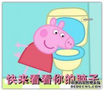 什么是仔猪？