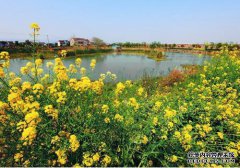 土卫水龙府镇温泉和美丽的旅游小镇