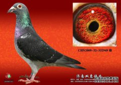 第949章瀑布般的回水