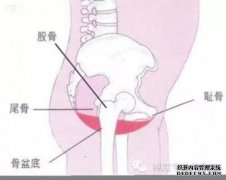 为什么学生可以在图书馆张开嘴巴？
