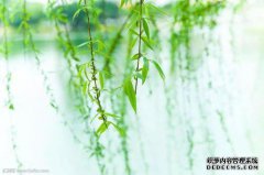 [不会攀爬弹簧的U材]