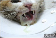 一个简单的嘴会发生什么？