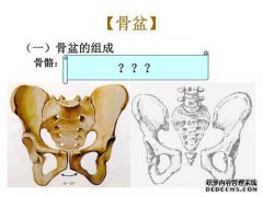 检查员用双手推动患者的两侧，作为骨盆病变的
