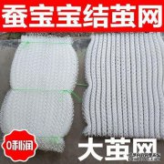 婴儿蚕什么时候会留下疤痕？