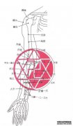 人体不同于唾液。