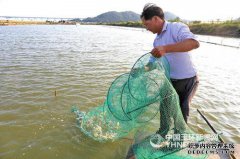 在养殖过程中，农民如何分析池塘？