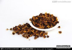 如何评估菊花航空的广告文案