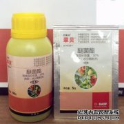 80％的苯酚