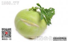 Indigo的效果和禁忌是对Indigo的完整理解！