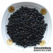 刺五加种子的功效与效应