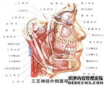 你为什么喜欢看痤疮？