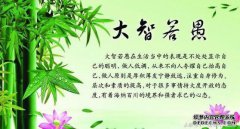 “美妙声音的含义是什么？大象无形，智慧无知