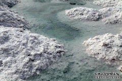 什么是富含钾的食物？独特的民间科学从食物中